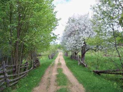 Our 2012 Homesteaders of the Year: Living the Good Life Through Modern Homesteading Image